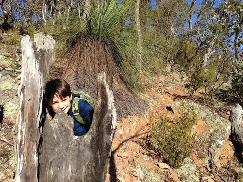 An image depicting the trail Starling Gap Ada Tree Circuit and its surrounding area.