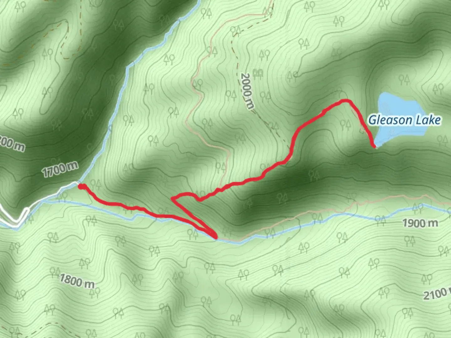 An image depicting the trail Gleason Lake Trail via Willow Creek Trail and its surrounding area.