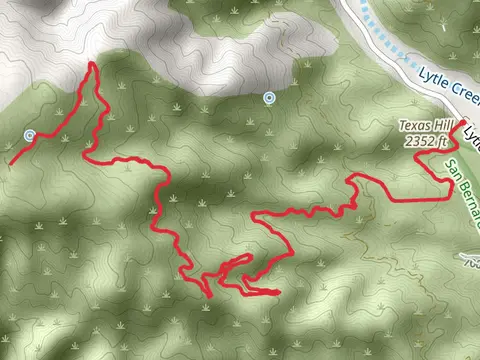 Big Tree Cucamonga Road Out and Back