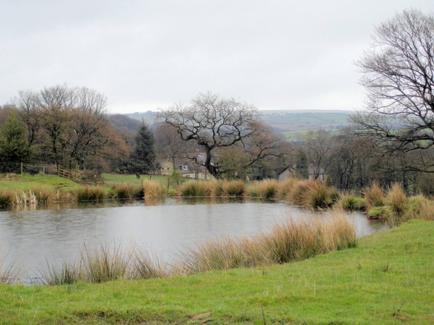 An image depicting the trail Mill Brow and its surrounding area.