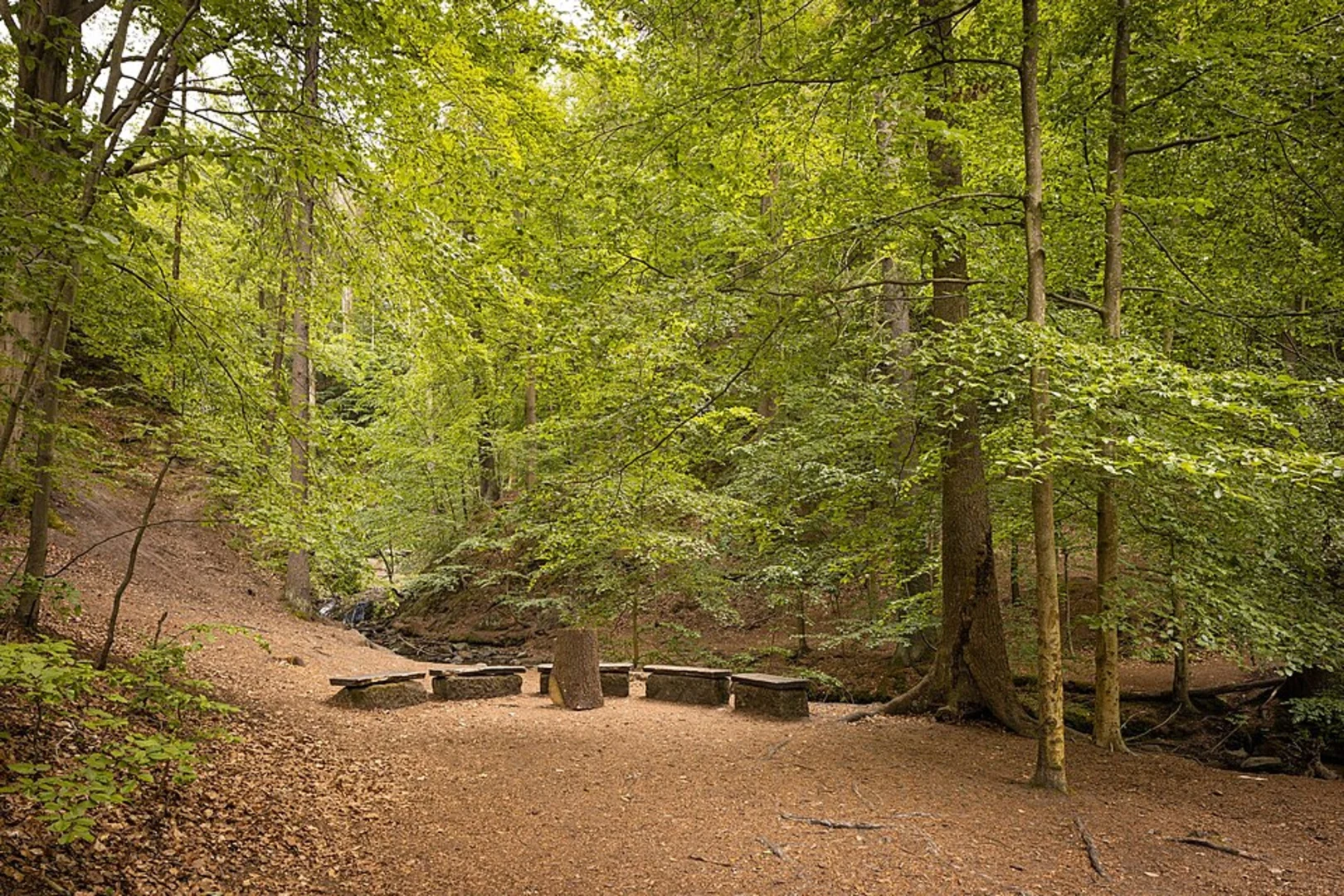 An image depicting the trail Dresdner Heide and Oberfoerster Jahn Weg and its surrounding area.