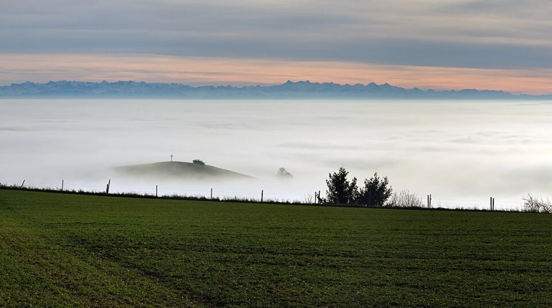 An image depicting the trail Bucherhof Loop via Alter Postweg and its surrounding area.