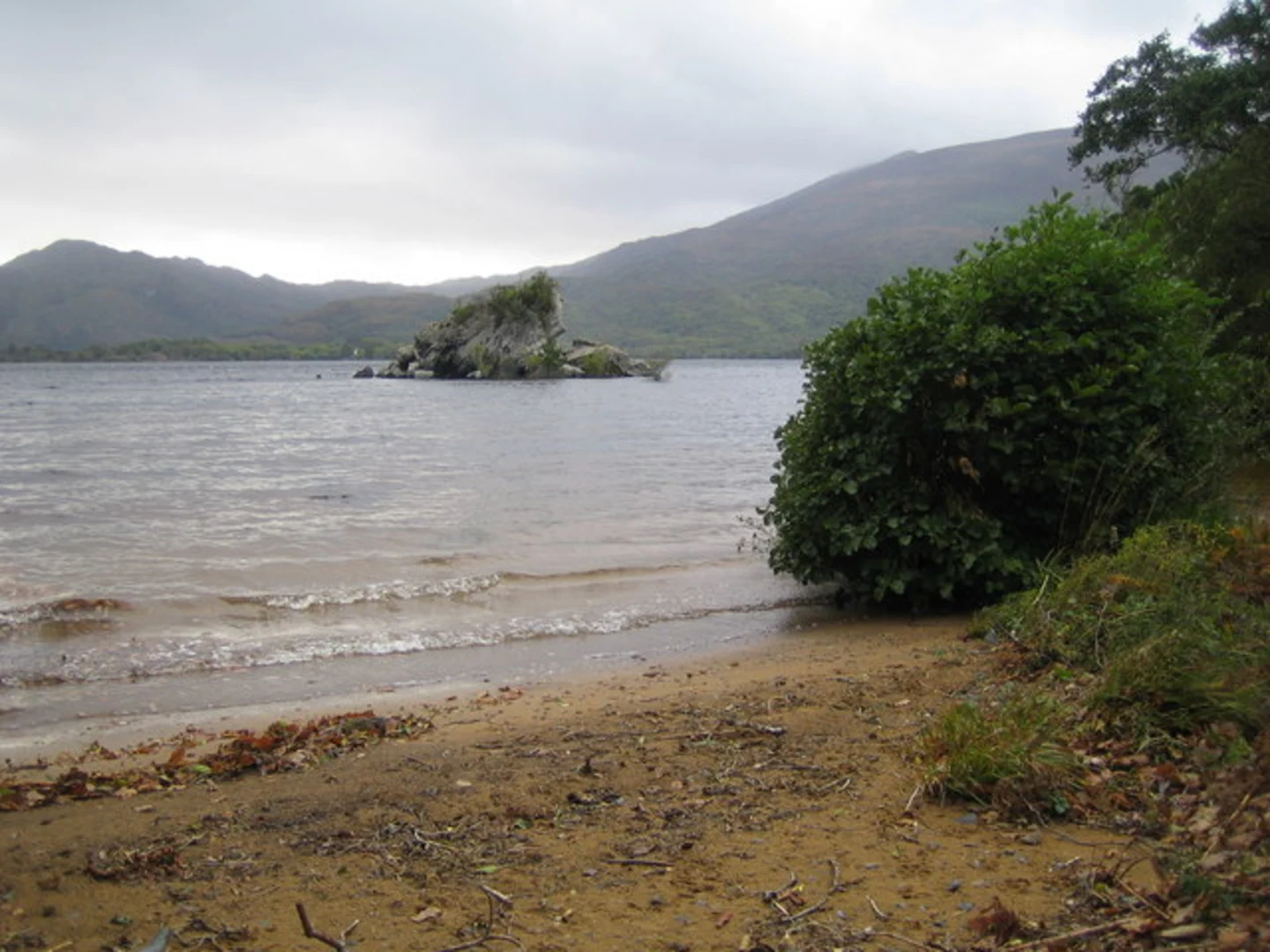 An image depicting the trail Muckross Lake Loop and its surrounding area.