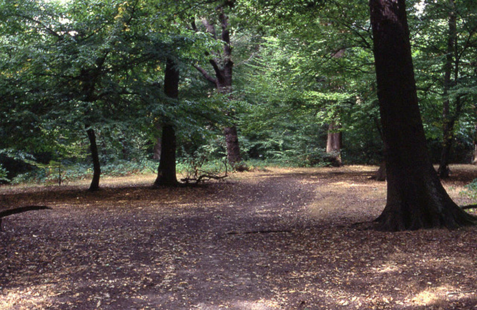 An image depicting the trail Hampstead to Finsbury Park Walk and its surrounding area.