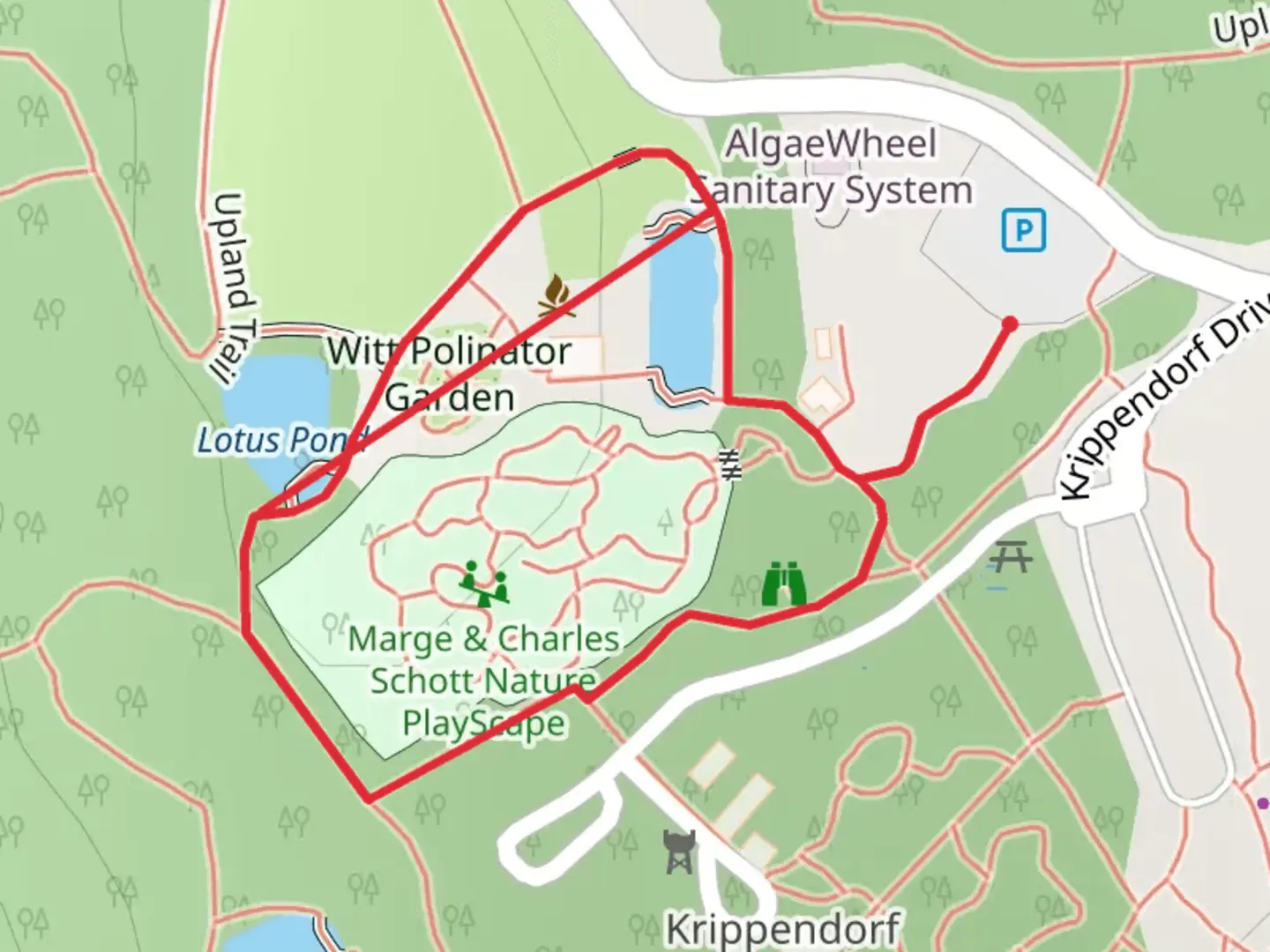An image depicting the trail Mashburn Family Discovery Loop Trail and its surrounding area.