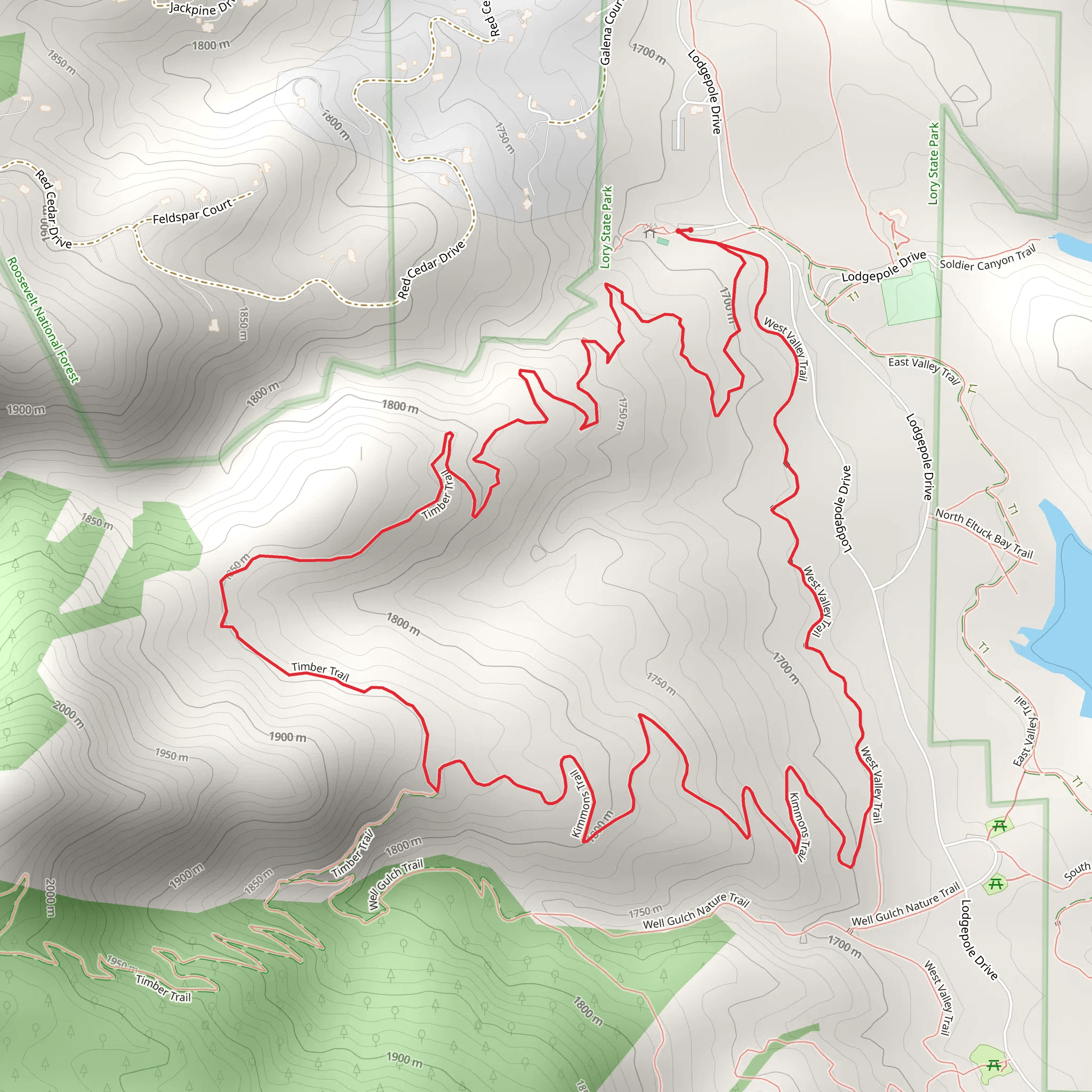 Timber Loop Trail mobile static map
