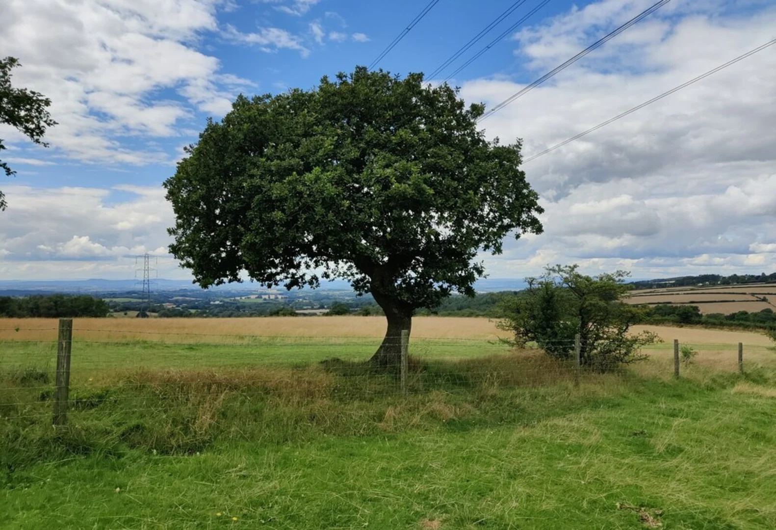 An image depicting the trail Waseley Hills Country Park Loop and its surrounding area.