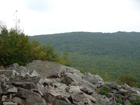 An image depicting the trail Hawk Rock and Cove Mountain via Appalachian Trail and its surrounding area.