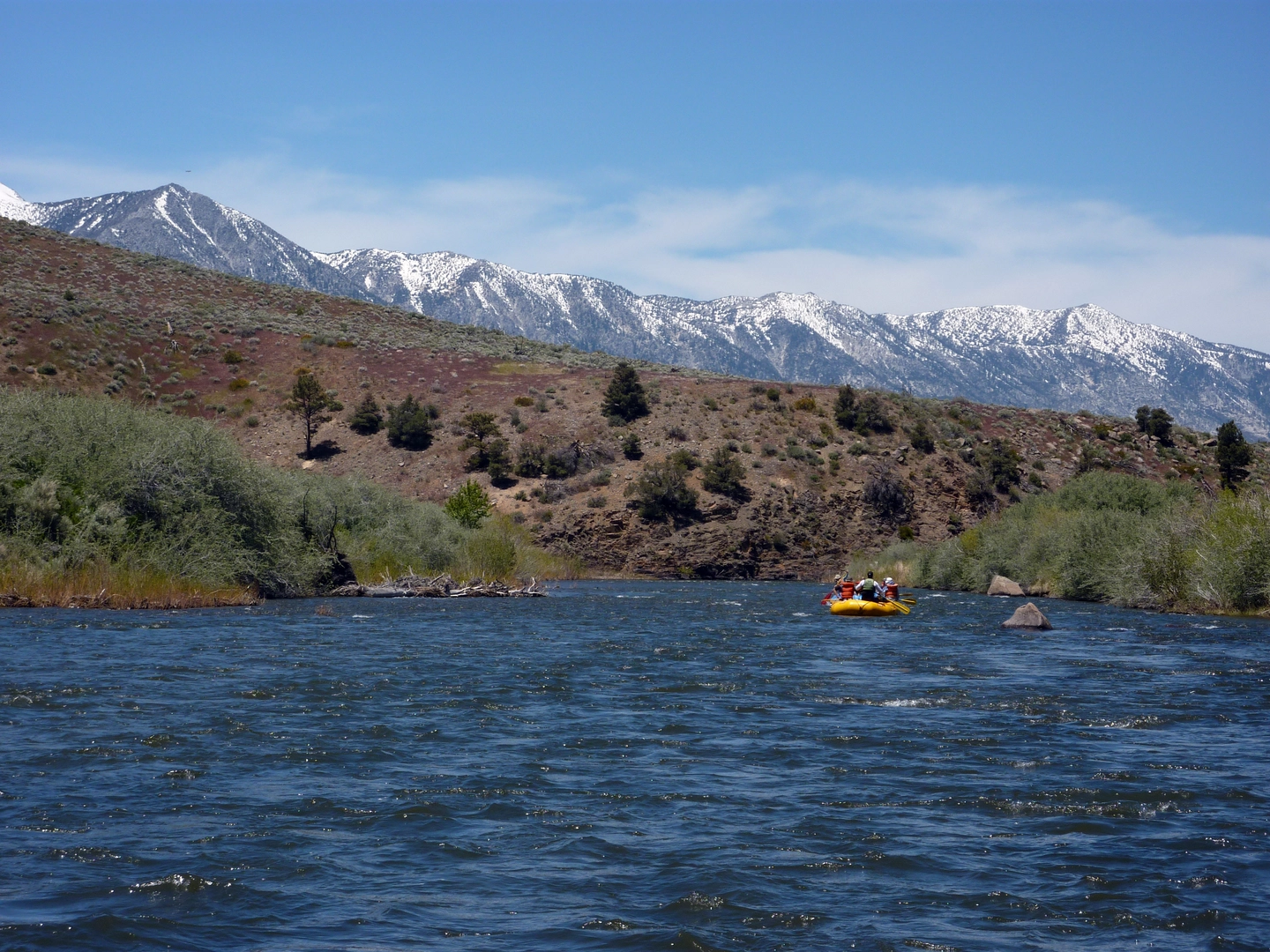 An image depicting the trail Walk along East Fork Carson River and its surrounding area.