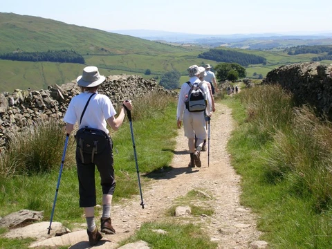 An image depicting the trail Wansfell Pike and Stock Ghyll Woods Loop and its surrounding area.