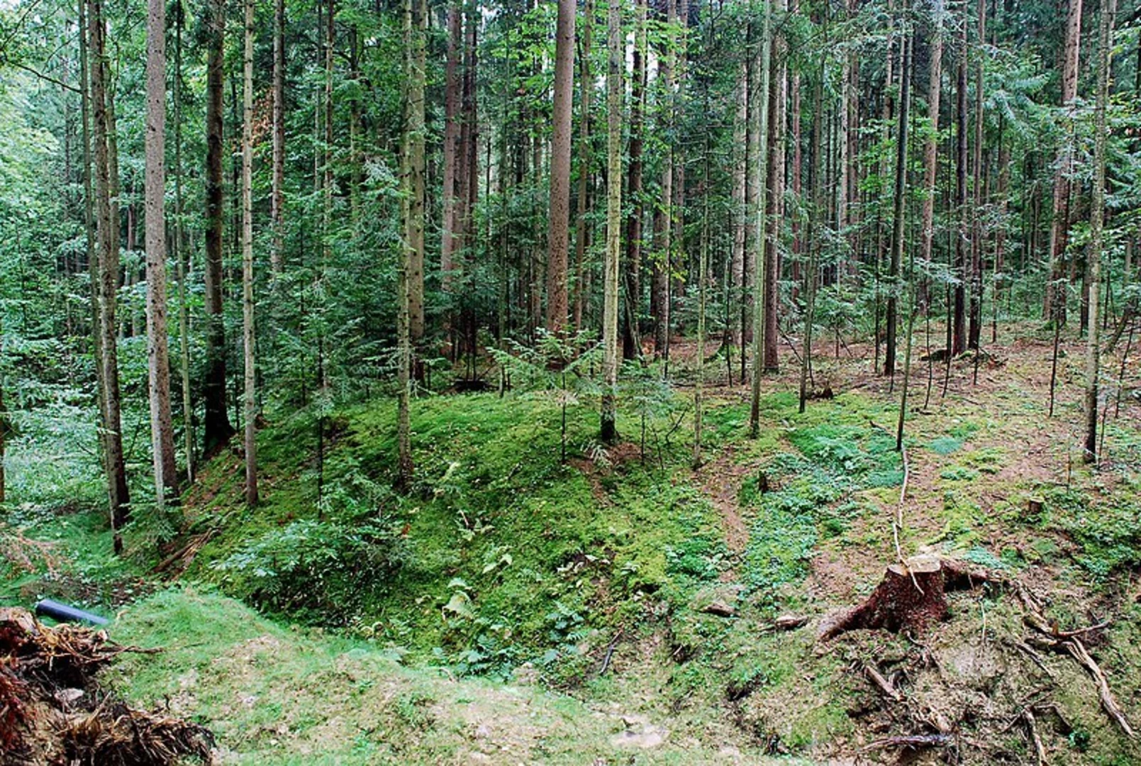 An image depicting the trail Großer Hochgrail - Niedergrail Loop and its surrounding area.