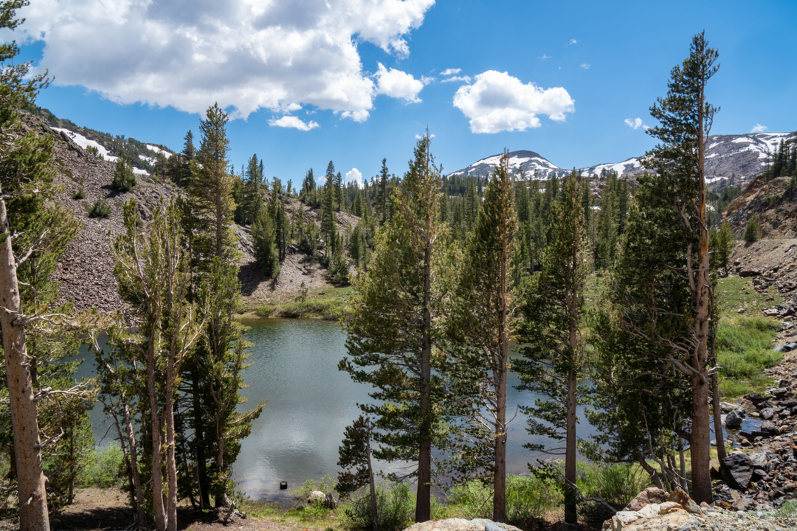 An image depicting the trail Shell Lake via Bennetville Loop Trail and its surrounding area.