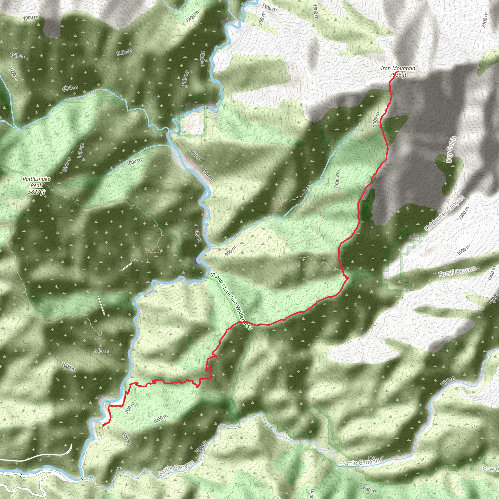 Iron Mountain Trail from Camp Bonita Road mobile static map