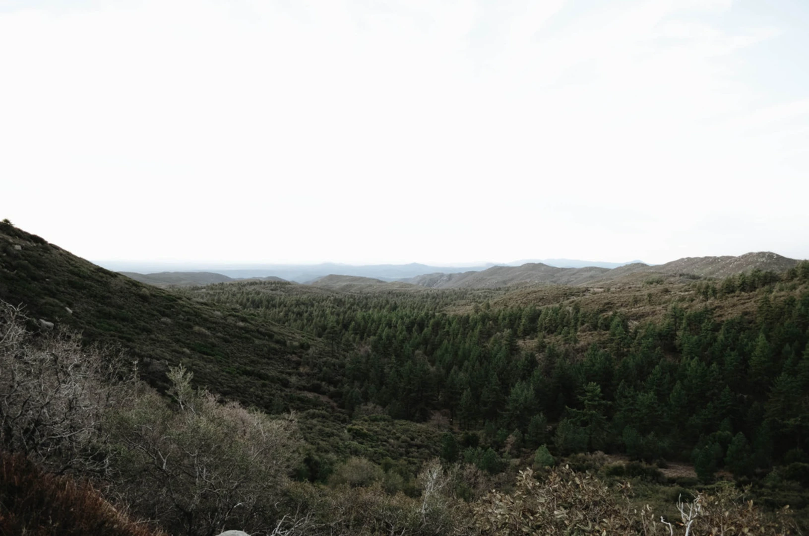 An image depicting the trail Redtail Roost and Agua Dulce Loop Trail and its surrounding area.