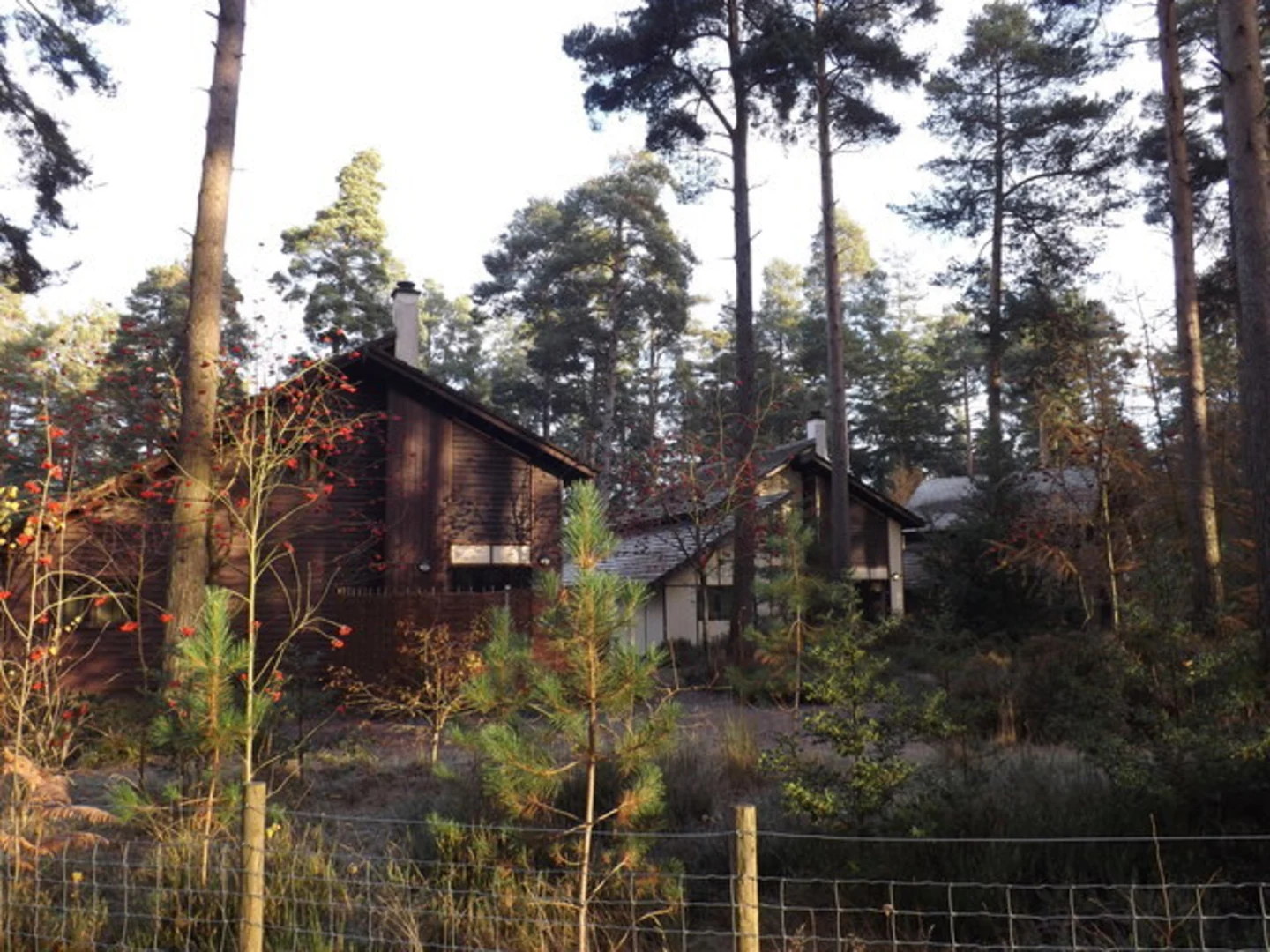 An image depicting the trail Whinfell Forest and its surrounding area.