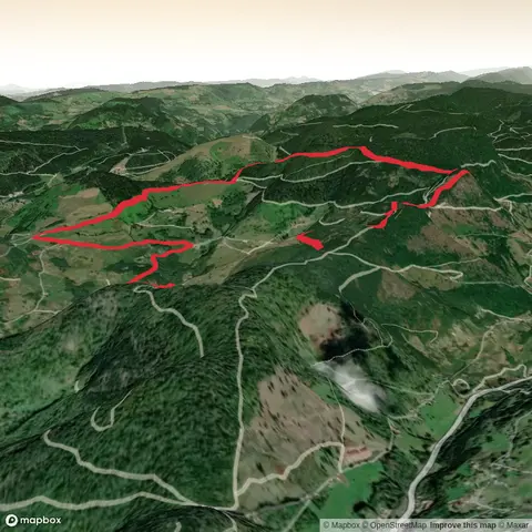 Naturpark Ballons des Vosges - Moselle de Fresse