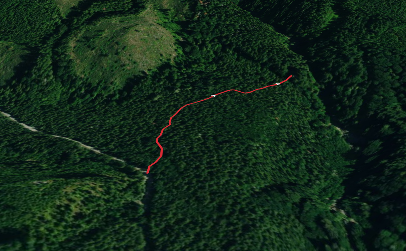 Racehorse Falls Out and Back