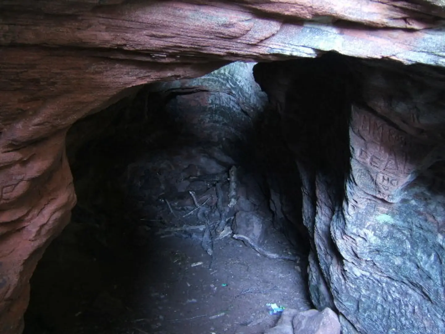 An image depicting the trail Bickerton Loop and its surrounding area.