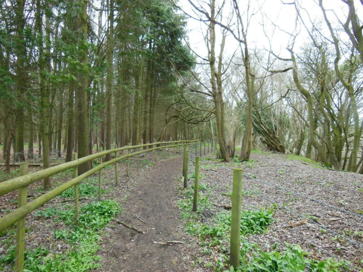 An image depicting the trail Dowdeswell Wood and Reservoir Loop and its surrounding area.