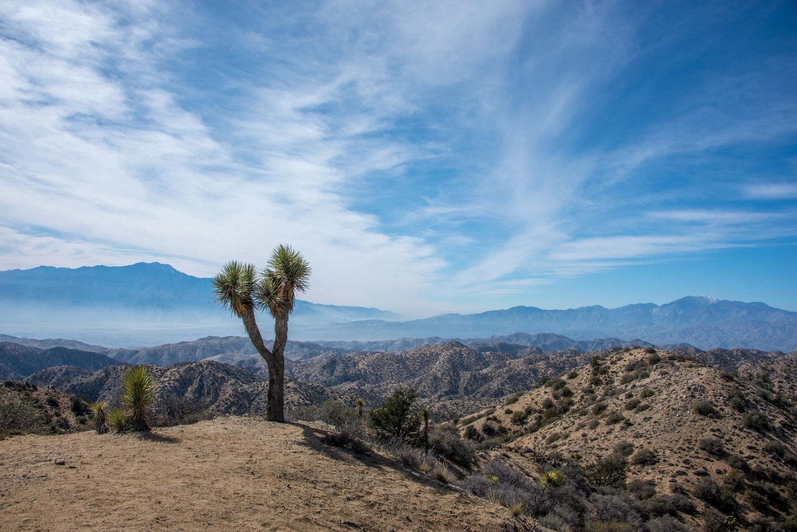 An image depicting the trail Eureka Peak Road Trail and its surrounding area.