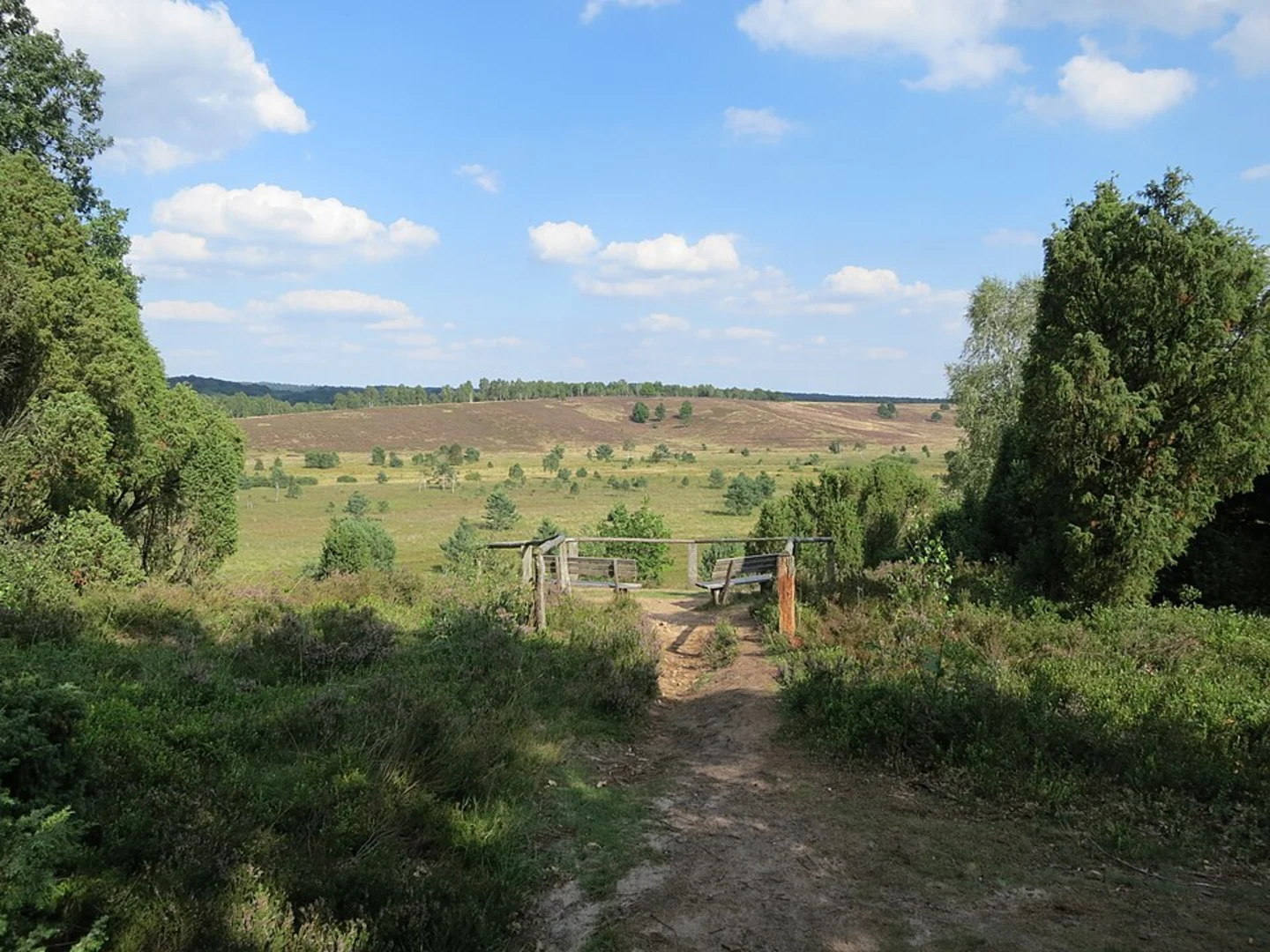 An image depicting the trail Wümmeberg via Lila Kroenung Wanderweg and its surrounding area.