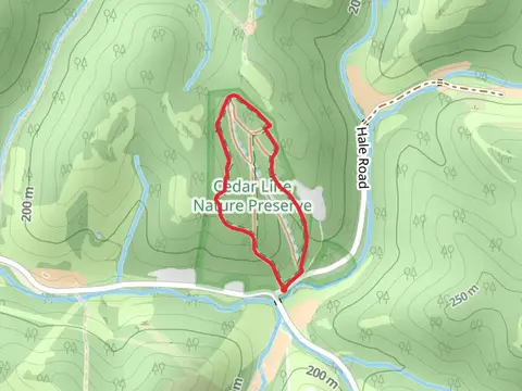 A Trail Loop from Hale Road