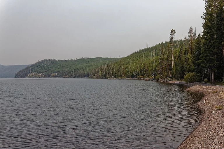 An image depicting the trail DeLacy Creek Trail and its surrounding area.