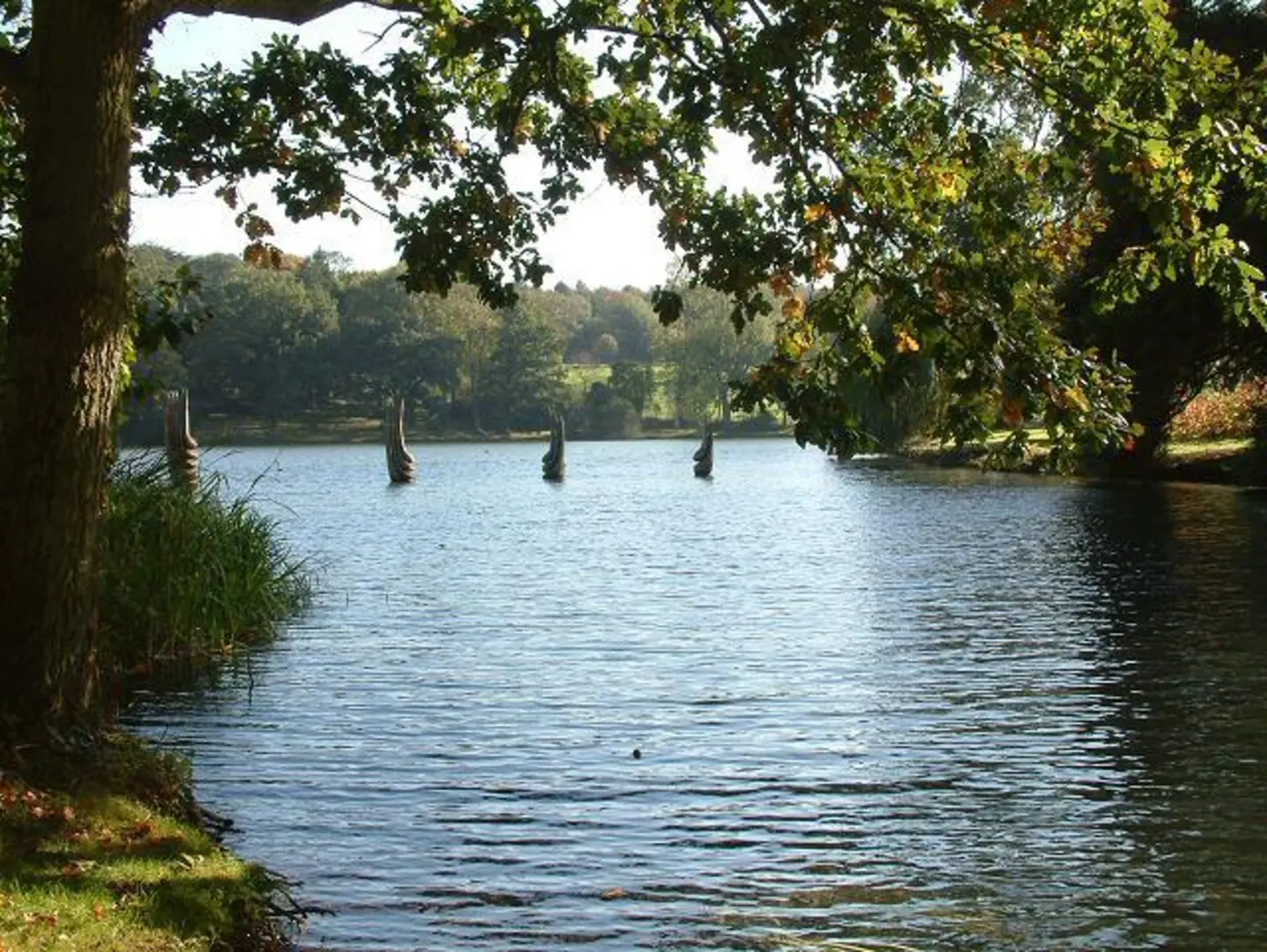 An image depicting the trail Burghley House Loop and its surrounding area.