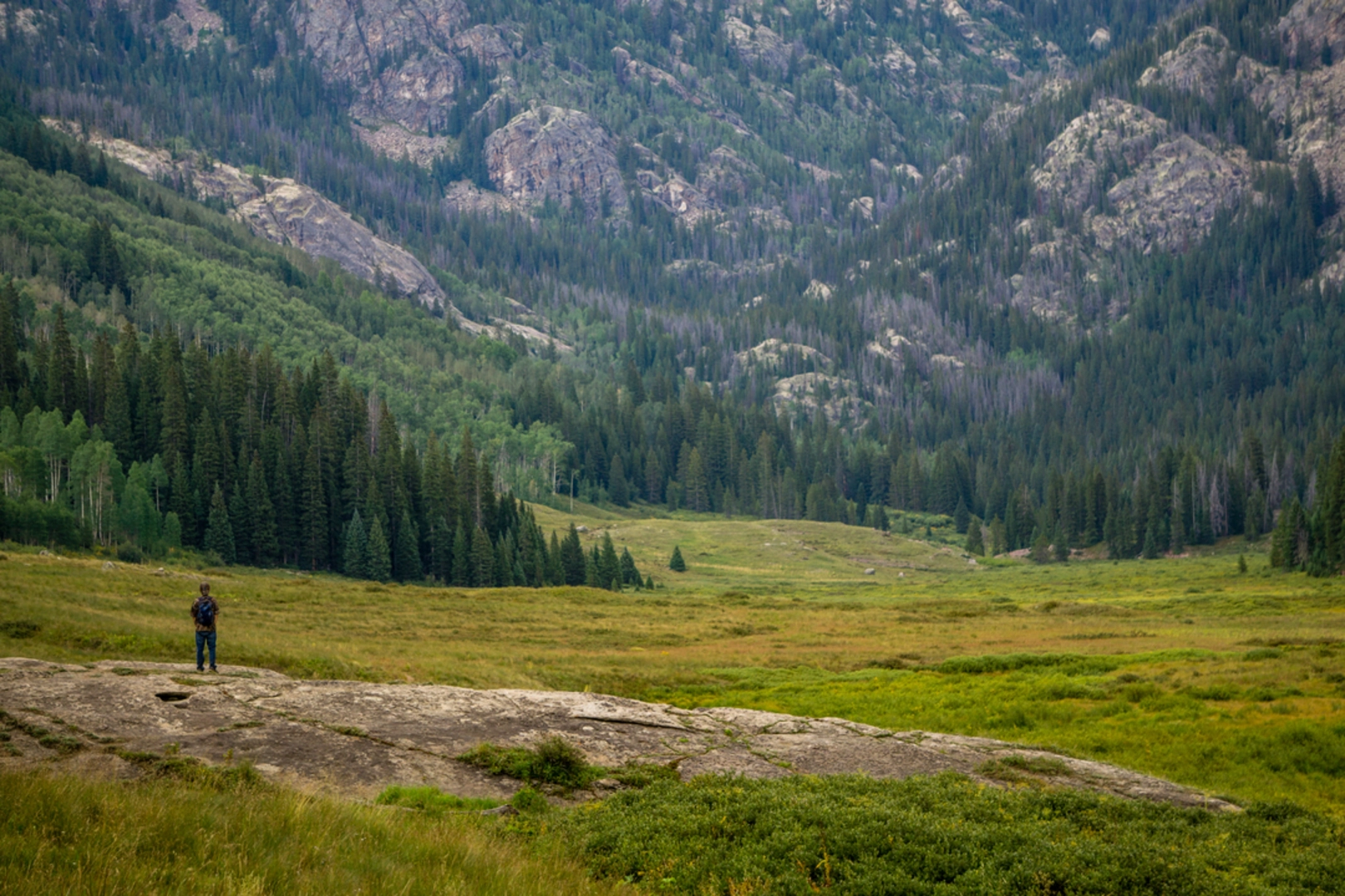 An image depicting the trail Upper Piney River Falls Trail and its surrounding area.