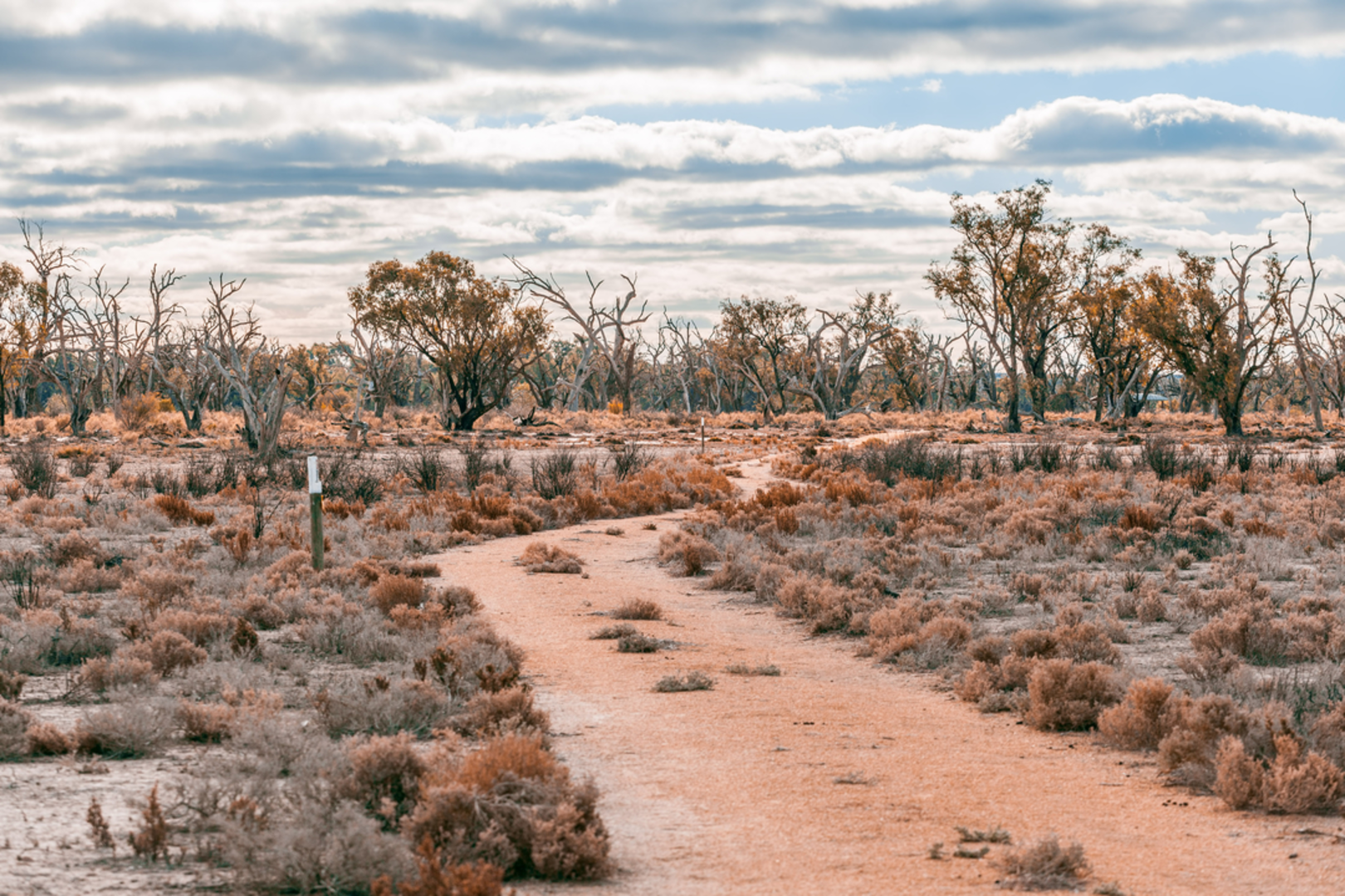 An image depicting the trail The Mallee Trail and its surrounding area.
