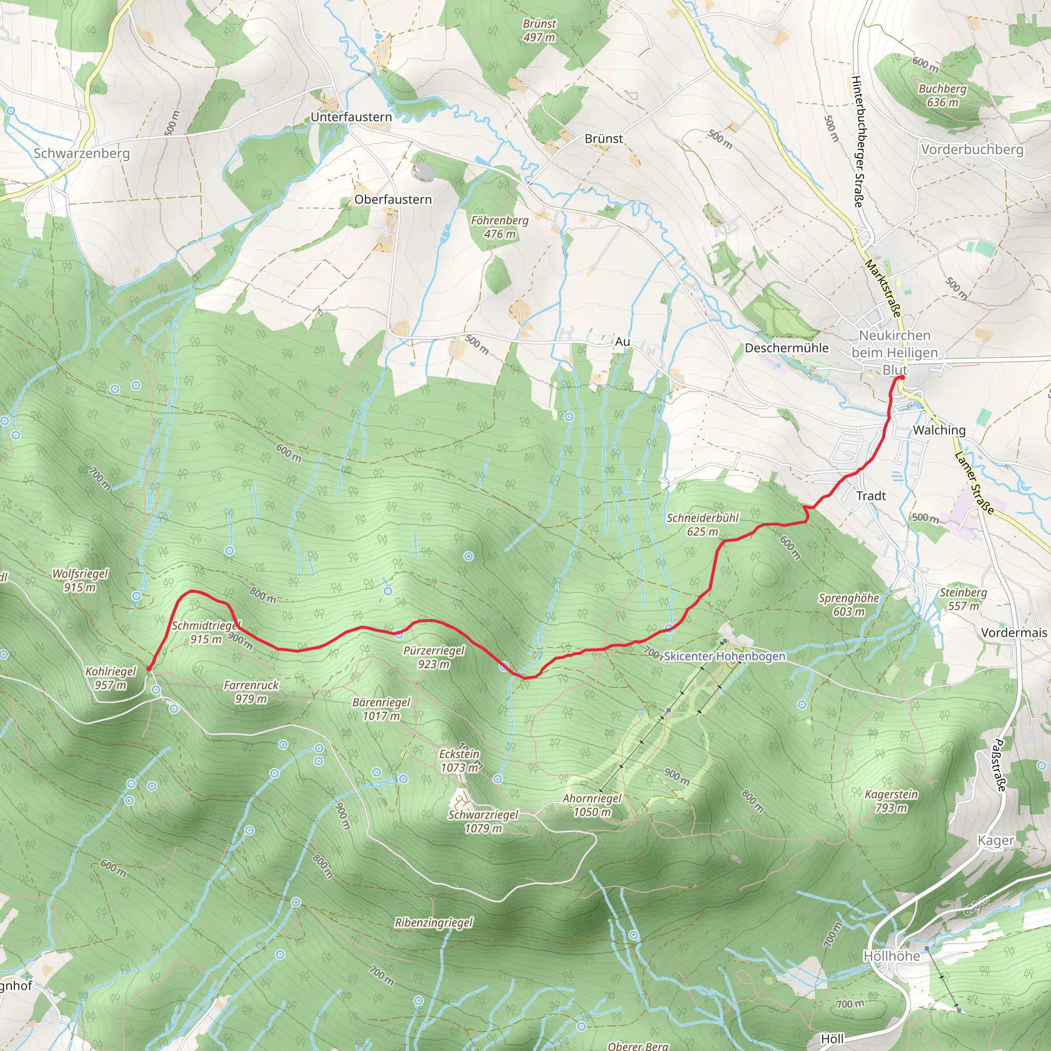 Neukirchen beim Heiligen Blut to Diensthutte Hohen Bogen Walk mobile static map