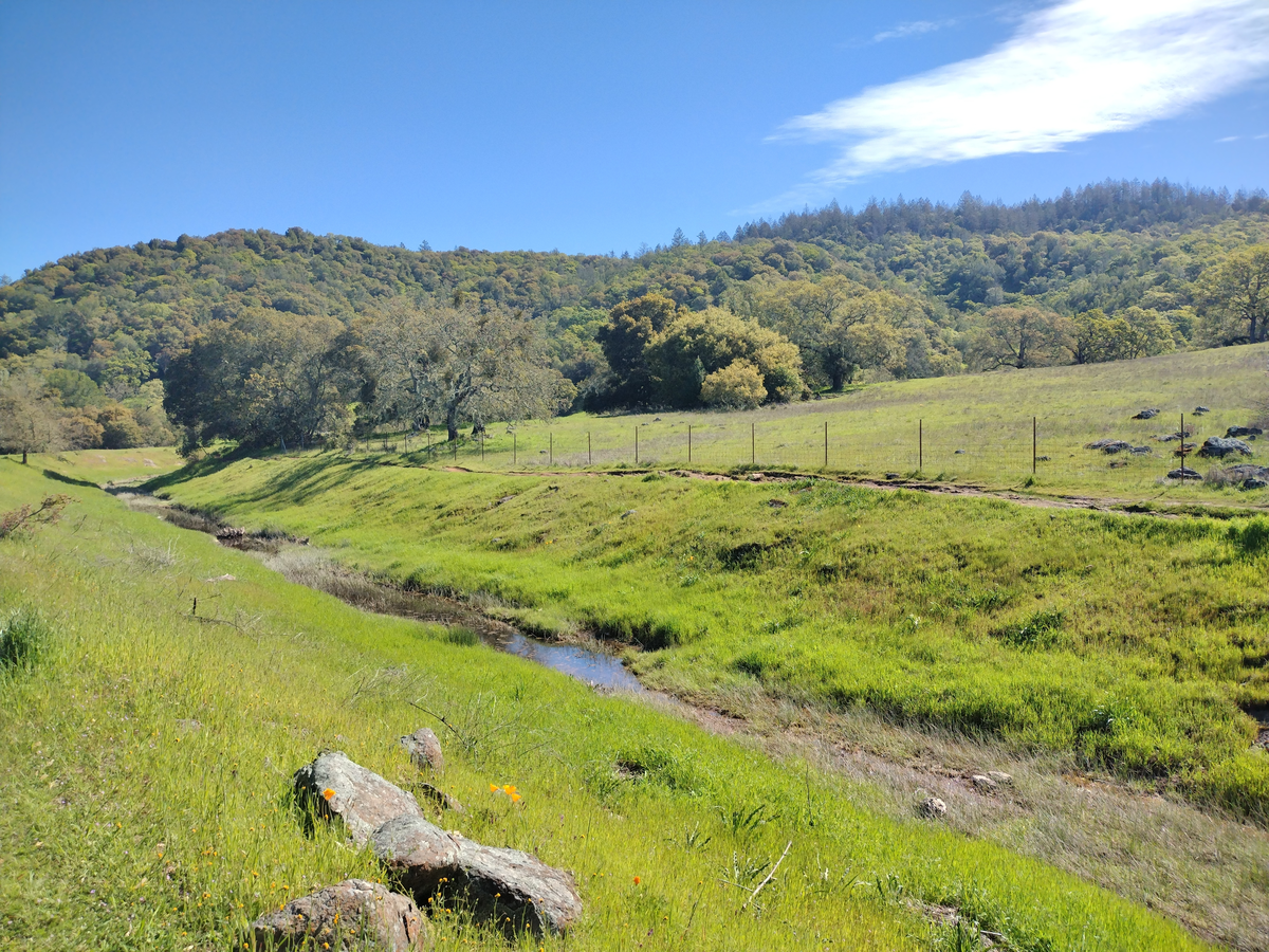 Lake Ilsanjo via Spring Creek Trail