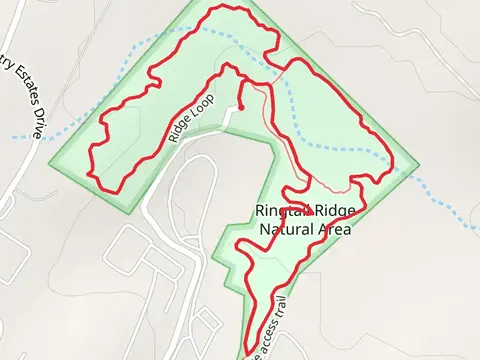 Ringtail Ridge Natural Area Loop