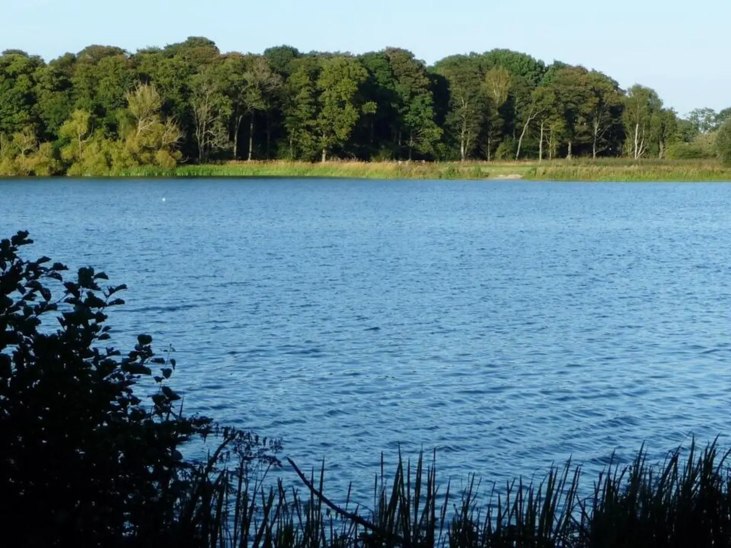 An image depicting the trail Colemere Country Loop and its surrounding area.