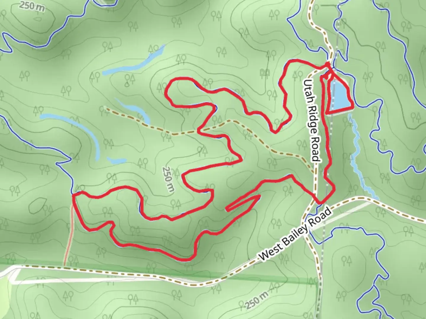An image depicting the trail Holler Collar Trail and its surrounding area.