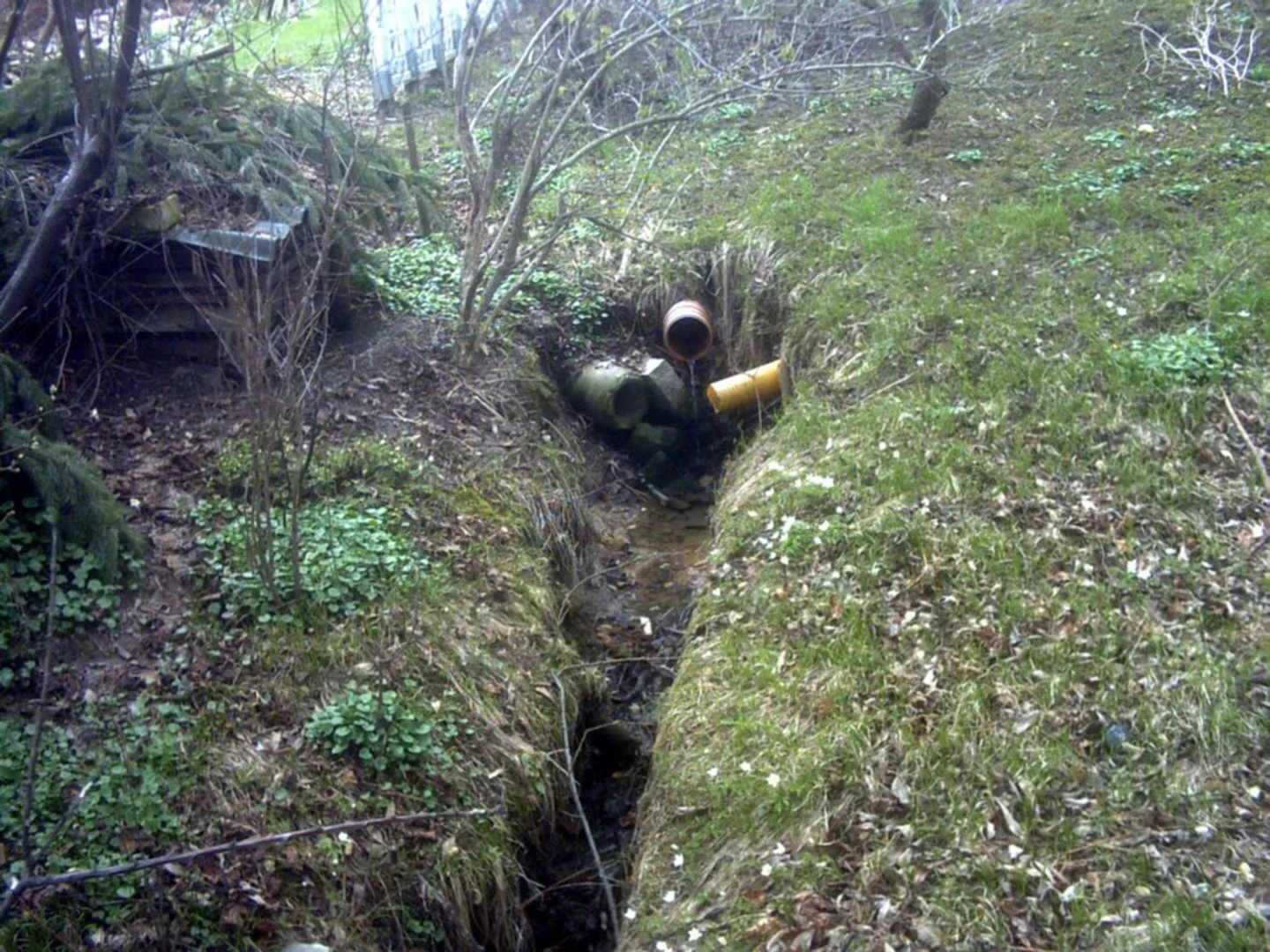 An image depicting the trail Drachenschlucht, Wilde Sau and Saalkopf Loop and its surrounding area.