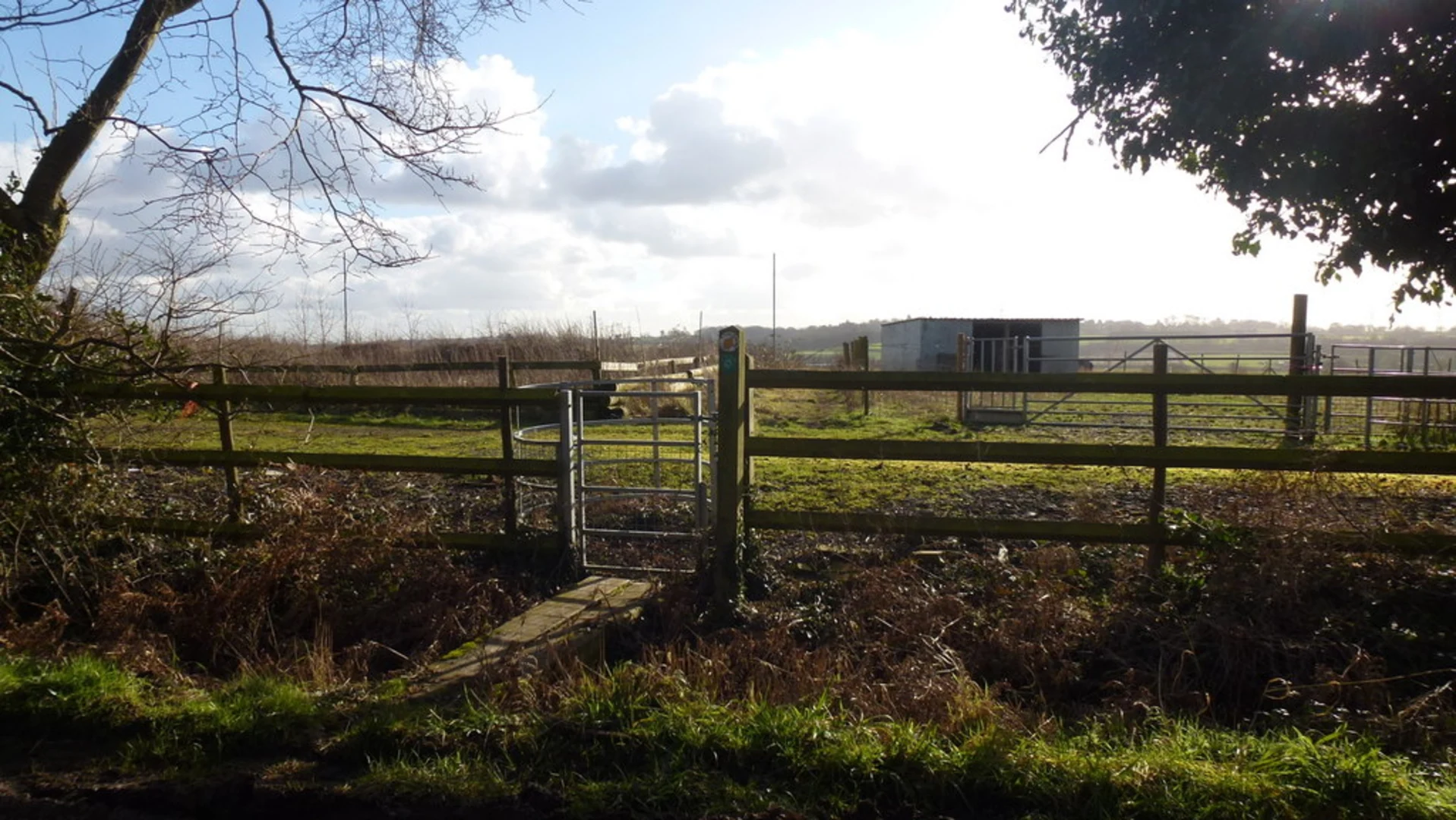 An image depicting the trail Corley Ash Loop and its surrounding area.