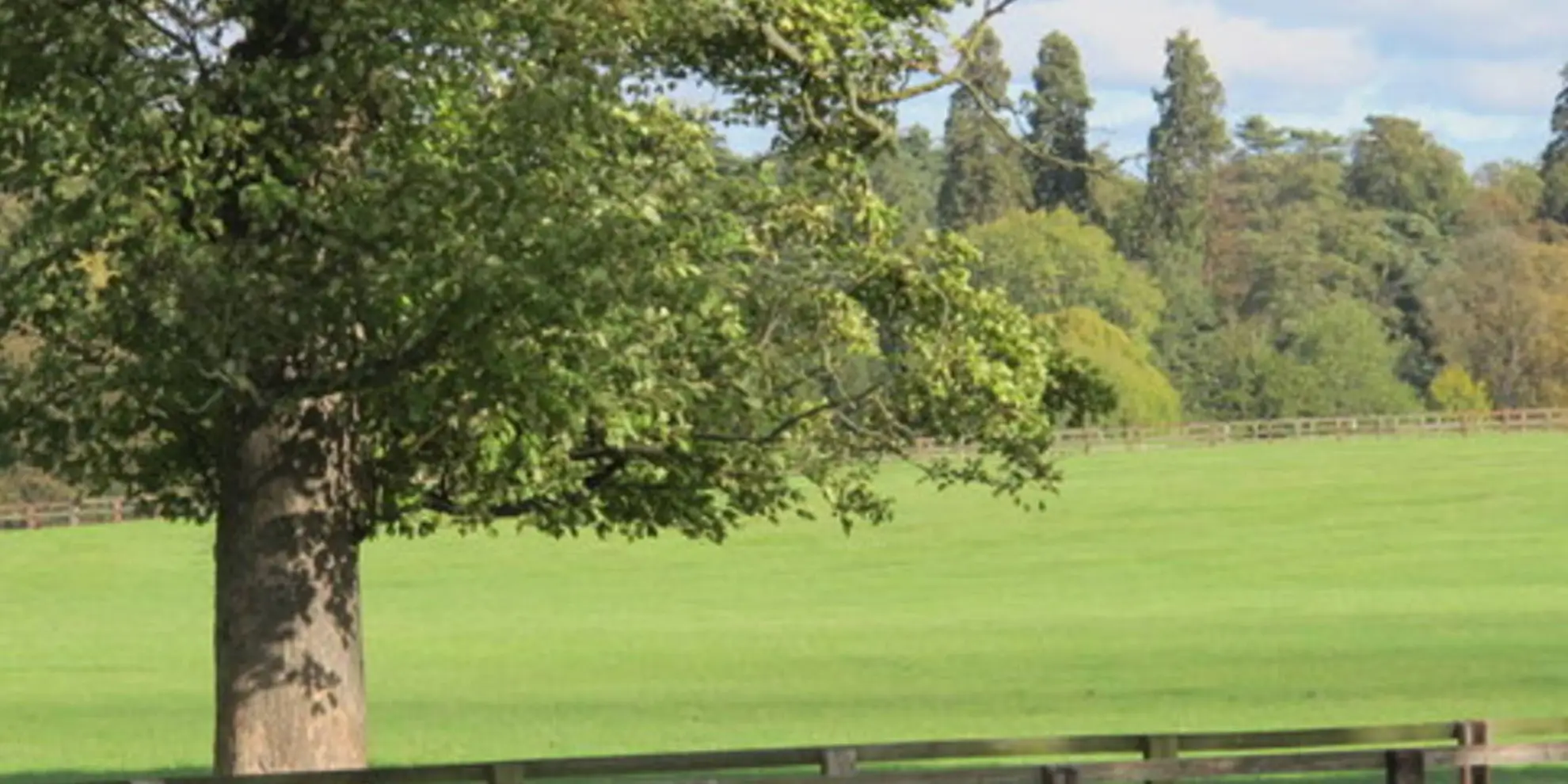 An image depicting the trail Woburn Circular and its surrounding area.