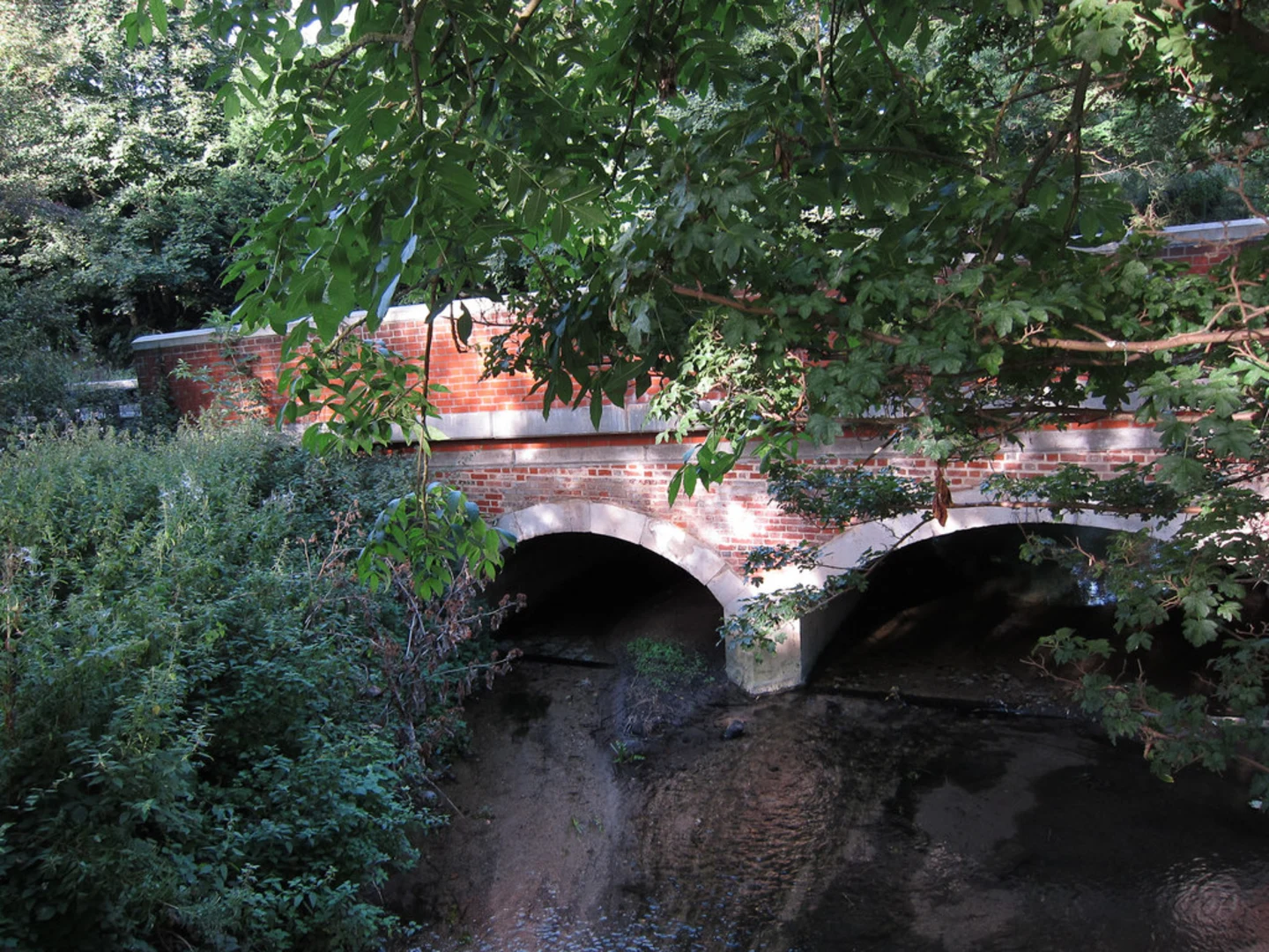 An image depicting the trail Sawston to Stapleford Walk and its surrounding area.