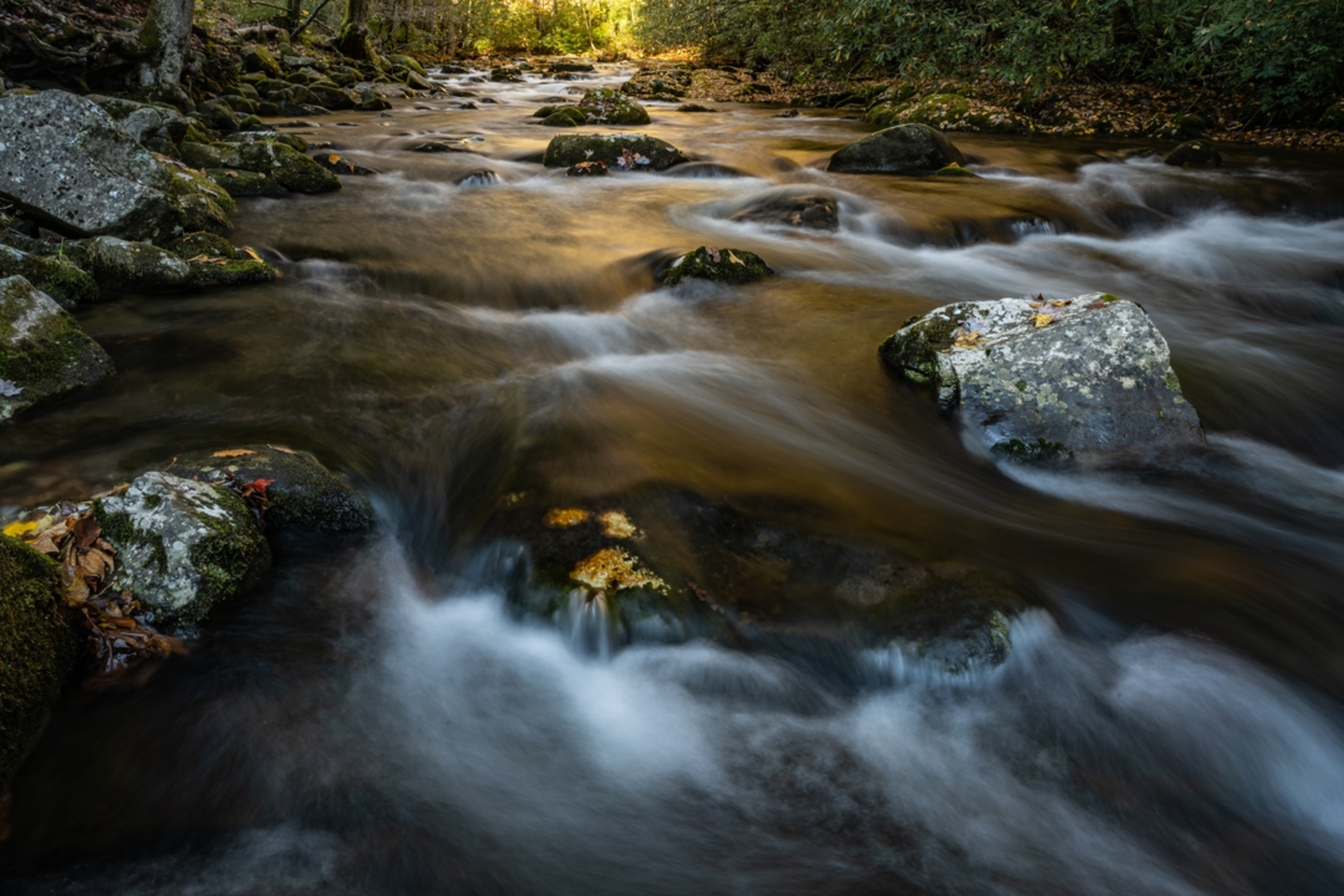An image depicting the trail Oconaluftee River Trail and its surrounding area.