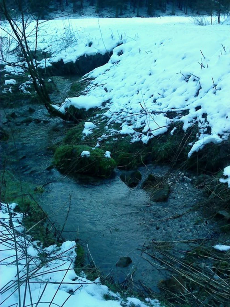 An image depicting the trail Rievaulx, Cold Kirby and Deep Gill Wood Loop and its surrounding area.