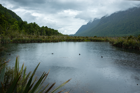 Lake Mistletoe Track