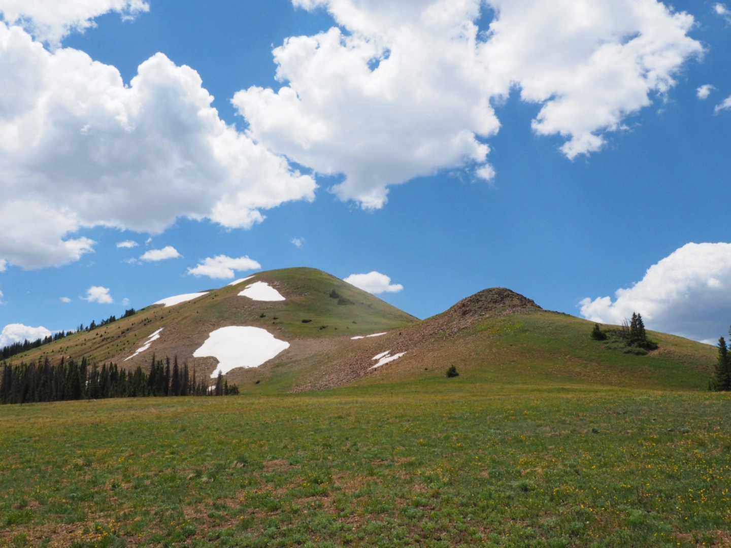 An image depicting the trail Montgomery Pass Trail and its surrounding area.