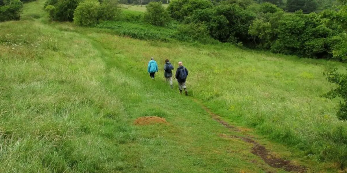 Henley-in-Arden Circular