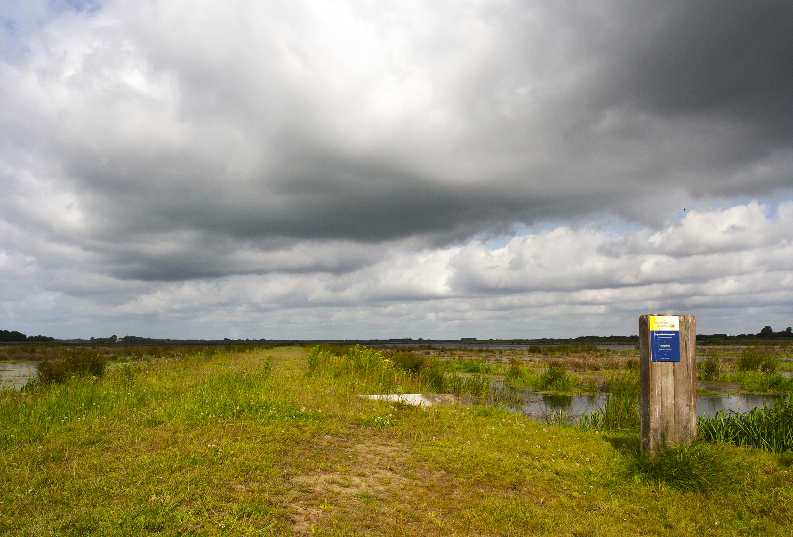 An image depicting the trail Roomsloot, Baarlingerpolder and Noorderpolder Loop and its surrounding area.