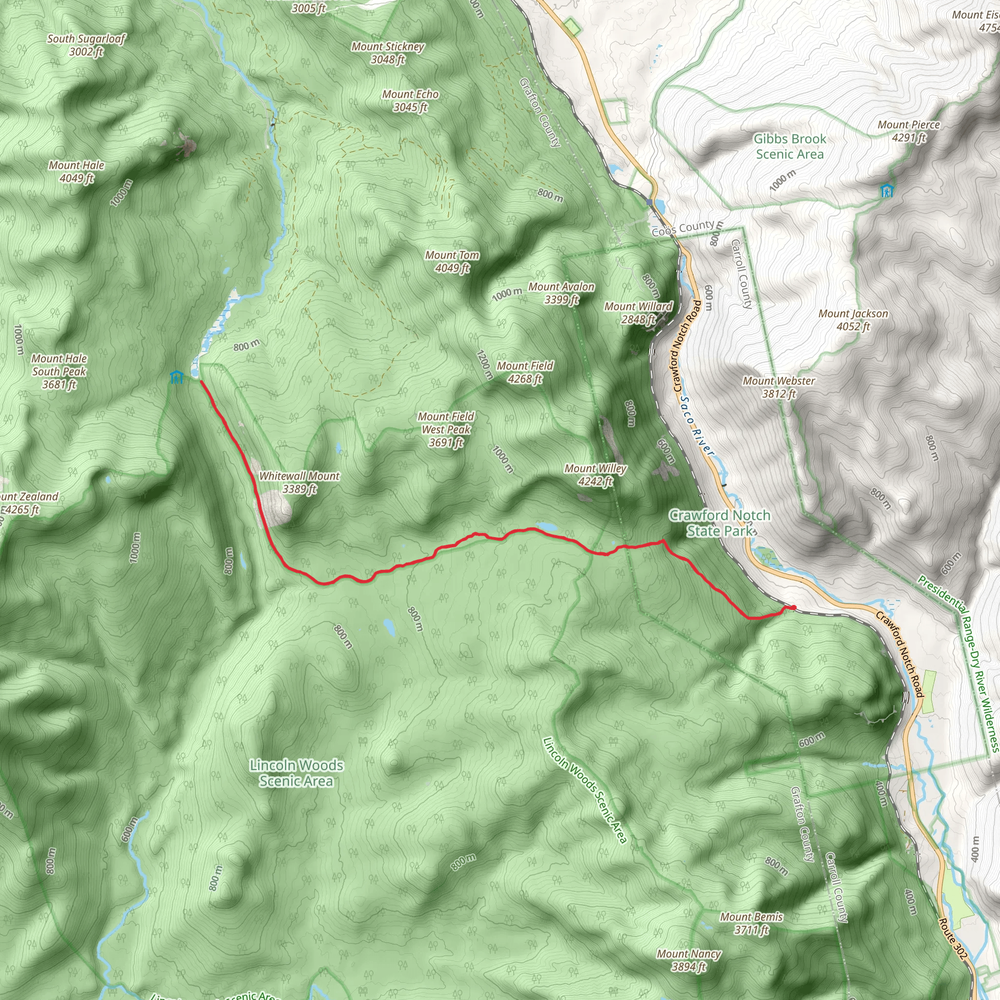 Ethan Pond Trail - Zealand Pond Trail mobile static map