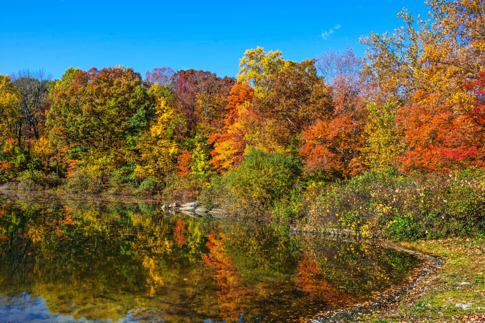An image depicting the trail Lake George - Falling Waters Trail - Blue and its surrounding area.