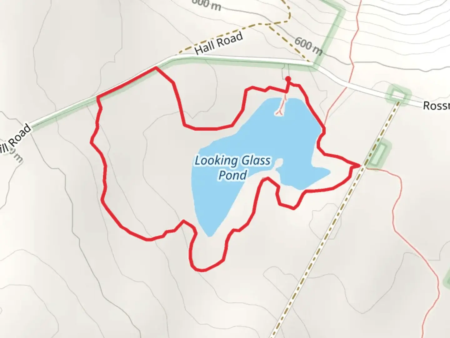 An image depicting the trail Looking Glass Pond Loop Trail and its surrounding area.