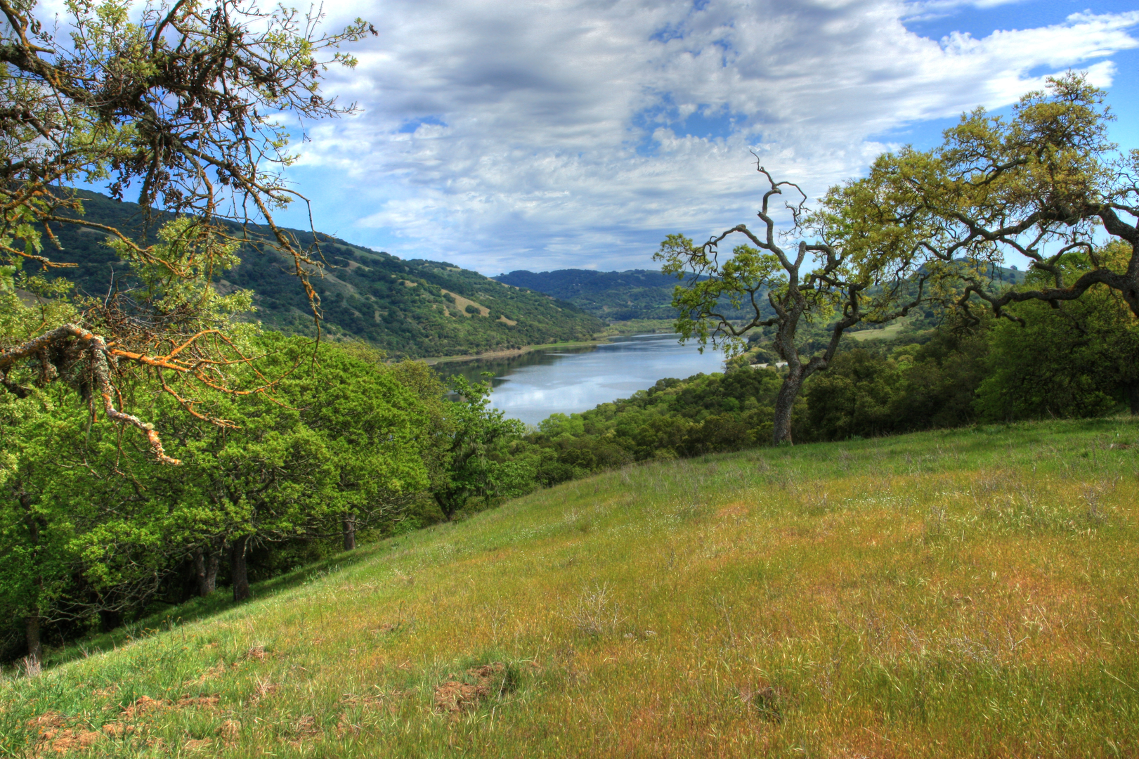 An image depicting the trail Gaviota - Valley Oak Loop Trail and its surrounding area.