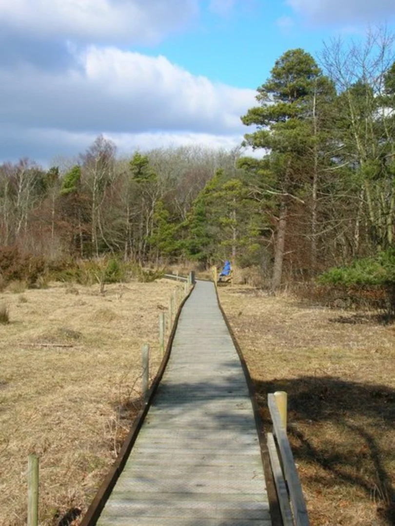 An image depicting the trail King William's Hill, Middlebarrow Plain and Gait Barrows NNR Loop and its surrounding area.